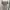top milkmaid babydoll soft colour photo 2