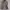 Vintage Windbreaker Pacific Trail  Hidden Hoodie  photo 1