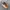 Salomon Glide Max photo 1