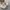 On CloudMonster photo 4