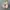 On CloudMonster photo 5