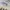On CloudMonster photo 6