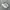 On CloudMonster photo 1
