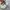 On Cloudmonster  photo 4