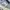 On Cloudmonster  photo 6