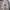 2000s chivas regal jacket sun faded photo 4