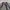 2000s chivas regal jacket sun faded photo 7