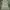 mini dress morikei fairycore whimsical cottagecore photo 1