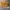 Nike AF1 utility strap black gum photo 5