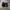 Nike AF1 utility strap black gum photo 4