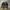 Nike AF1 utility strap black gum photo 3