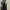 Gothic Lolita Blouse / Japanese Style photo 3