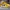AIR JORDAN 1 MID LAKERS UNIVERSITY GOLD RETRO photo 3
