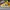 AIR JORDAN 1 MID LAKERS UNIVERSITY GOLD RETRO photo 1