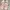 Flatshoes Colorbox photo 3