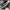 AIR JORDAN 1 TRAVIS SCOTT LOW OG BROWN photo 6
