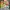 09WOMEN Casual Minimalist Romper Wanita green multicolor photo 1