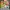 09WOMEN Casual Minimalist Romper Wanita Green Multicolor