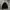 Puffer Jacket Black  photo 1
