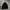 Puffer Jacket Black 
