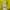 B Dortmund  2013-2014 Official Puma Jersey photo 6