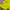B Dortmund  2013-2014 Official Puma Jersey photo 7