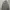 Hoodie Markgonzales 