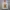 H&M HNM Sweater Nirvana Oversize photo 1
