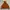 ZARA TRAFALUC FAUX FUX FUR REVERSIBLE BOMBER JACKET photo 5