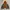ZARA TRAFALUC FAUX FUX FUR REVERSIBLE BOMBER JACKET photo 1