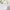 Coach Christie Carryall - Original Sholder and Sling Bag photo 1