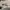 AIR JORDAN 1 LOW (GS) ARCTIC ORANGE photo 6
