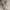 Hanasui Next Level Blurry Tint photo 2