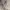 Hanasui Next Level Blurry Tint