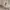 Hanasui Next Level Blurry Tint photo 1