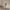 Hanasui Next Level Blurry Tint