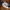 Vans Style 36 Retro Gilbraltar Sea Cameo Blue photo 1