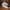 Vans Style 36 Retro Gilbraltar Sea Cameo Blue