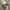 Silk Satin Qipao photo 3
