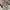 Military Shirt - Rsch photo 6