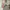Military Shirt - Rsch photo 7