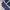 Carhartt Streetwear T-shirt Pria blue photo 4