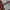 Unbrand hickory stripe baggy pants photo 8