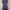 Dress 3H