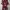 Dress bunga maroon photo 1