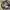 Oakley Streetwear Y2K Bag Pria brown photo 2
