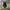 Pancoat Sherpa Ziphoodie photo 1
