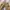 H&M cargo pants khaki photo 4