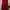 Dress brukat merah photo 1