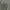 Biker Indie Vest Pria gray photo 4